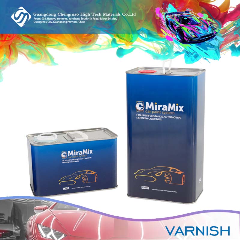 прозрачное пальто для машины