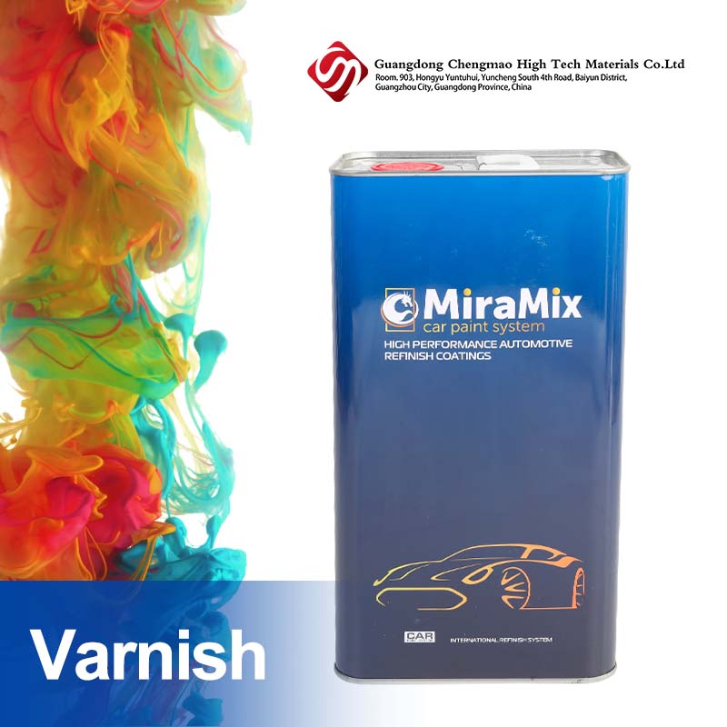 прозрачное пальто для 